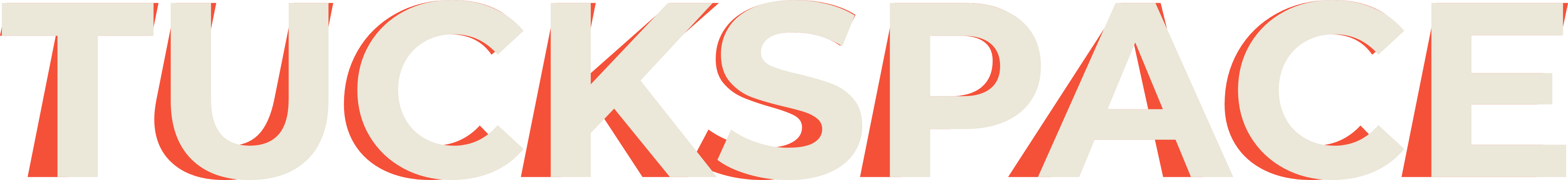 TUCKSPACE Logo